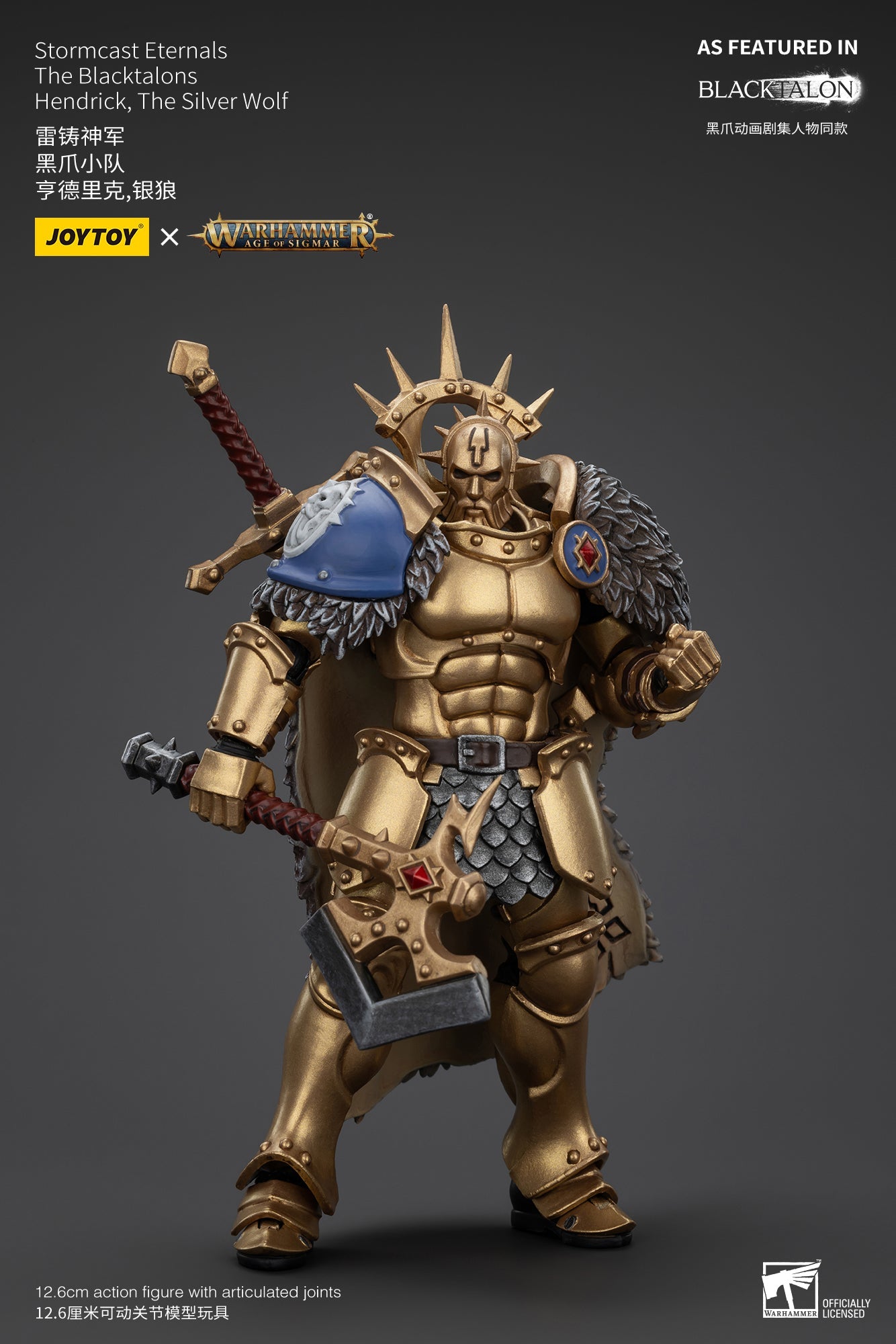Stormcast Eternals The Blacktalons - Warhammer AGE OF SIGMAR - Mô hình hành động của JOYTOY