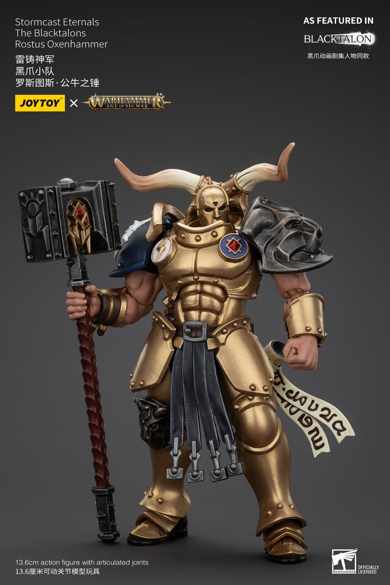 Stormcast Eternals The Blacktalons - Warhammer AGE OF SIGMAR - Mô hình hành động của JOYTOY