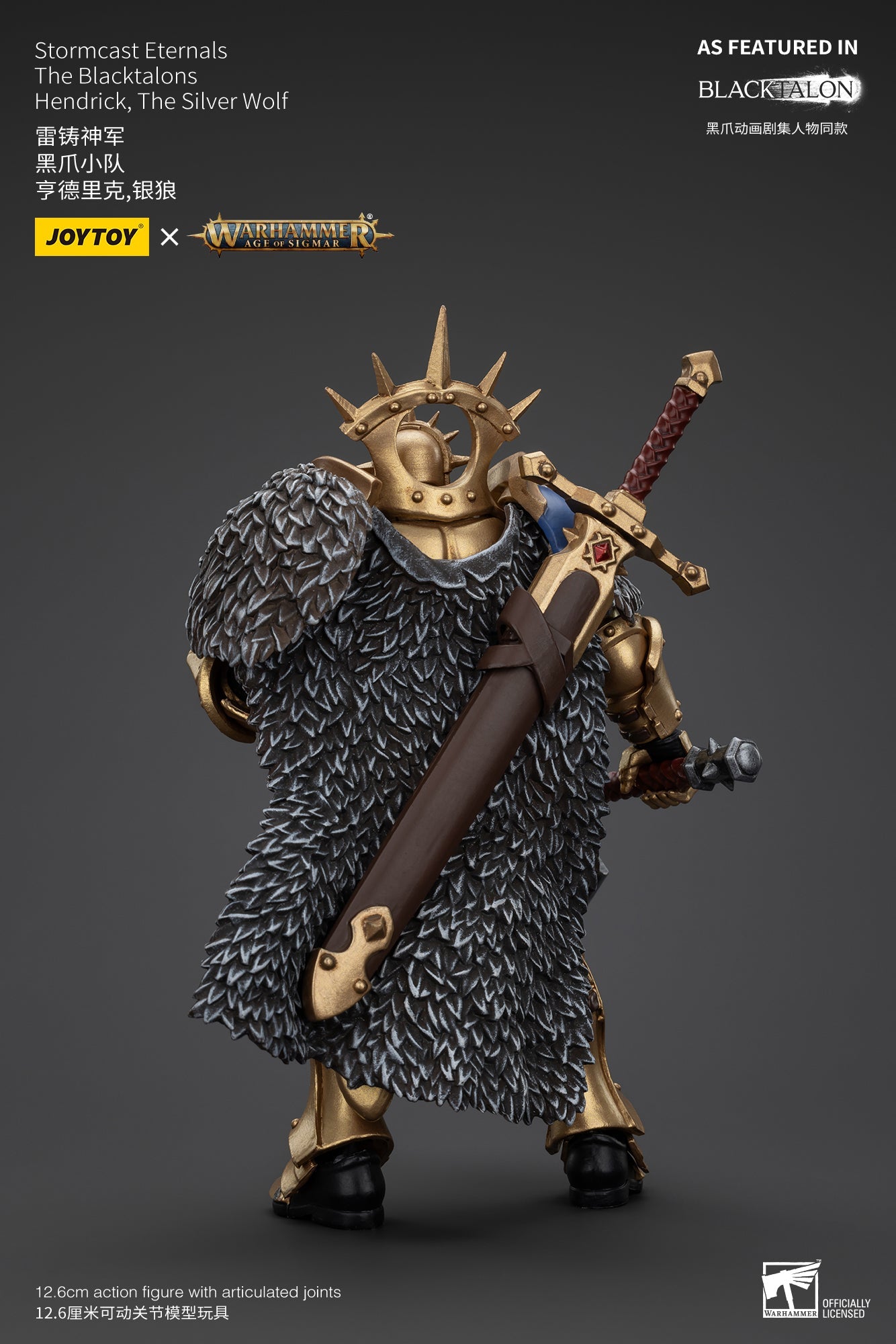 Stormcast Eternals The Blacktalons - Warhammer AGE OF SIGMAR - Mô hình hành động của JOYTOY