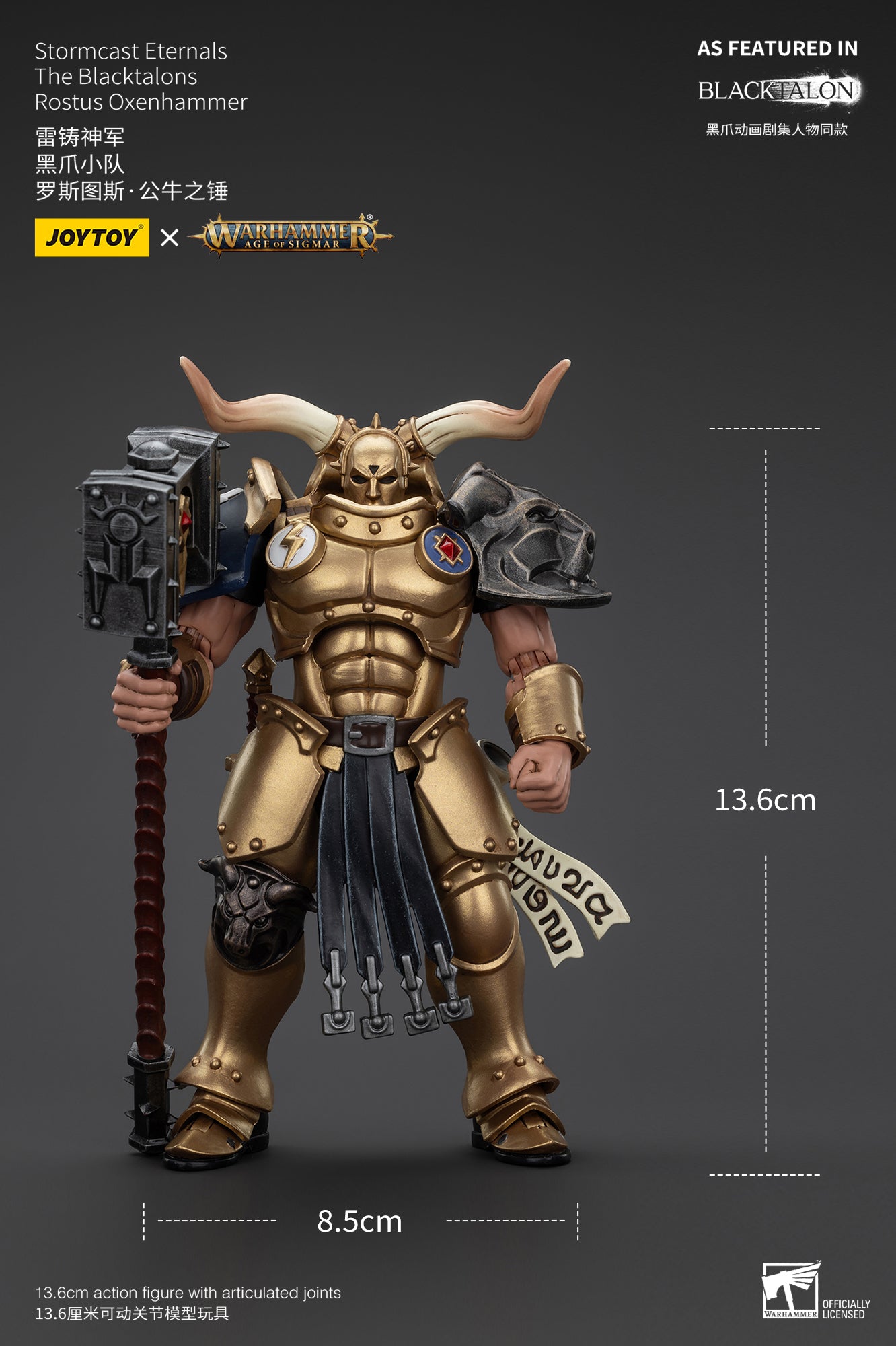Stormcast Eternals The Blacktalons - Warhammer AGE OF SIGMAR - Mô hình hành động của JOYTOY