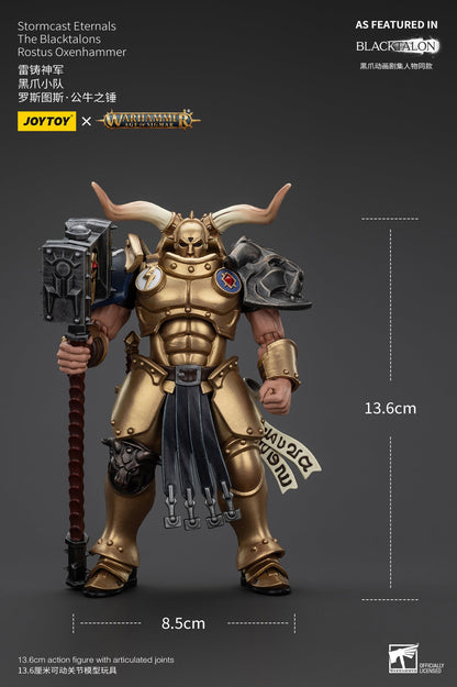 Stormcast Eternals The Blacktalons - Warhammer AGE OF SIGMAR - Mô hình hành động của JOYTOY