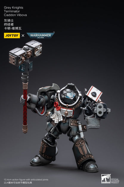 Grey Knights Terminator Caddon Vibova - Warhammer 40K Action Figure By JOYTOY