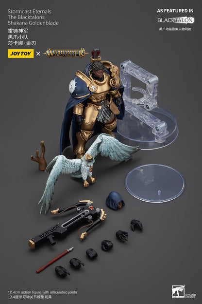 Stormcast Eternals The Blacktalons - Warhammer AGE OF SIGMAR - Mô hình hành động của JOYTOY