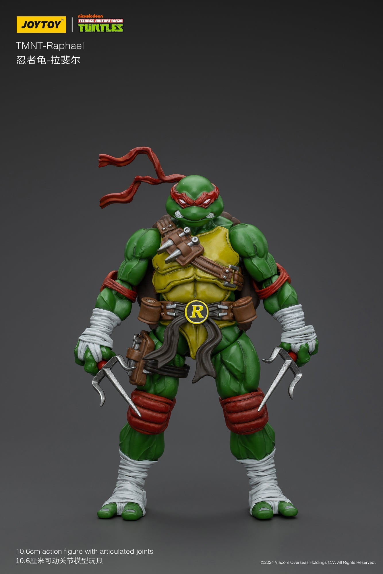 (RE-Run) TMNT - Wave 1  - TMNT Action Figure By JOYTOY