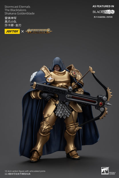 Stormcast Eternals The Blacktalons - Warhammer AGE OF SIGMAR - Mô hình hành động của JOYTOY