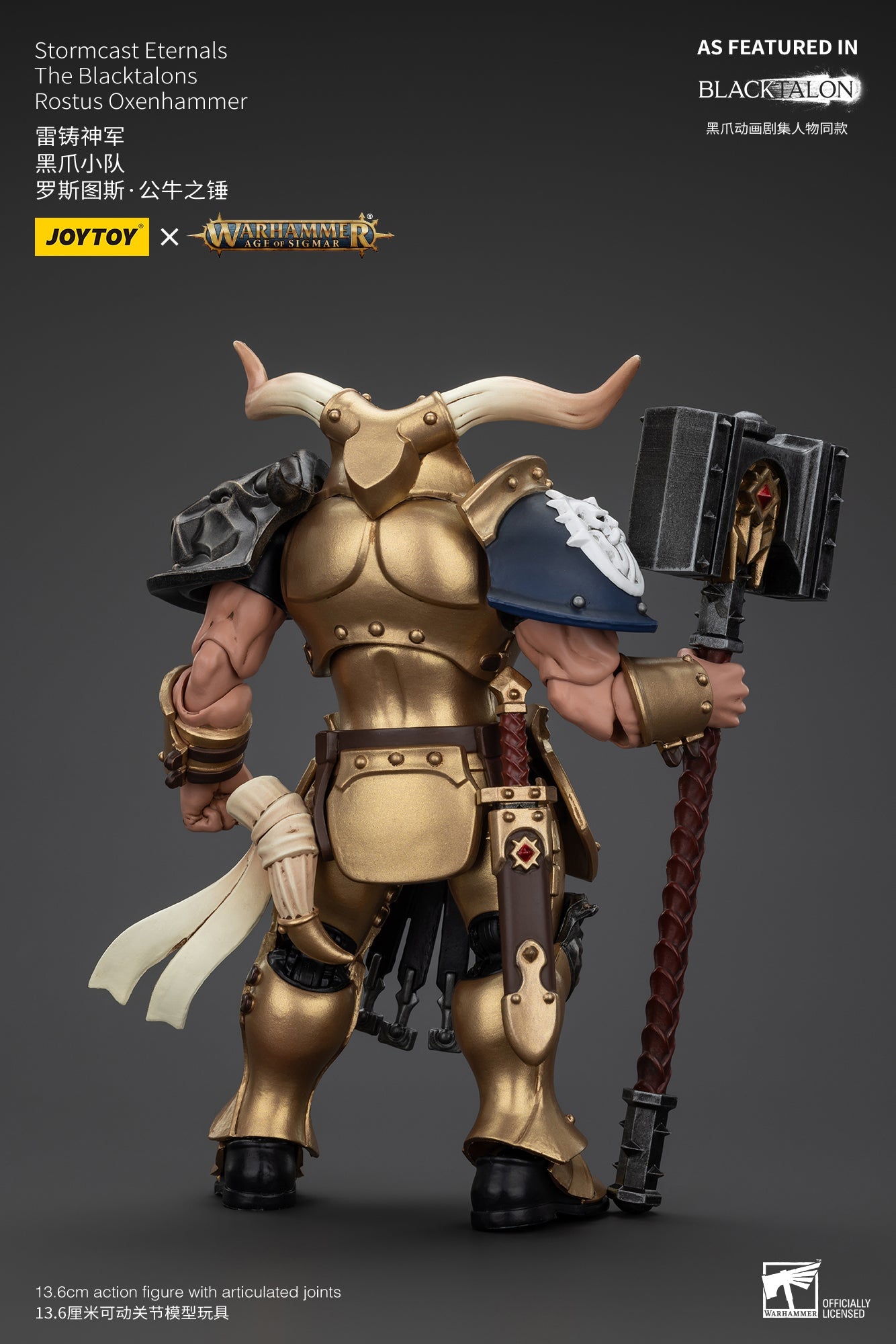 Stormcast Eternals The Blacktalons - Warhammer AGE OF SIGMAR - Mô hình hành động của JOYTOY