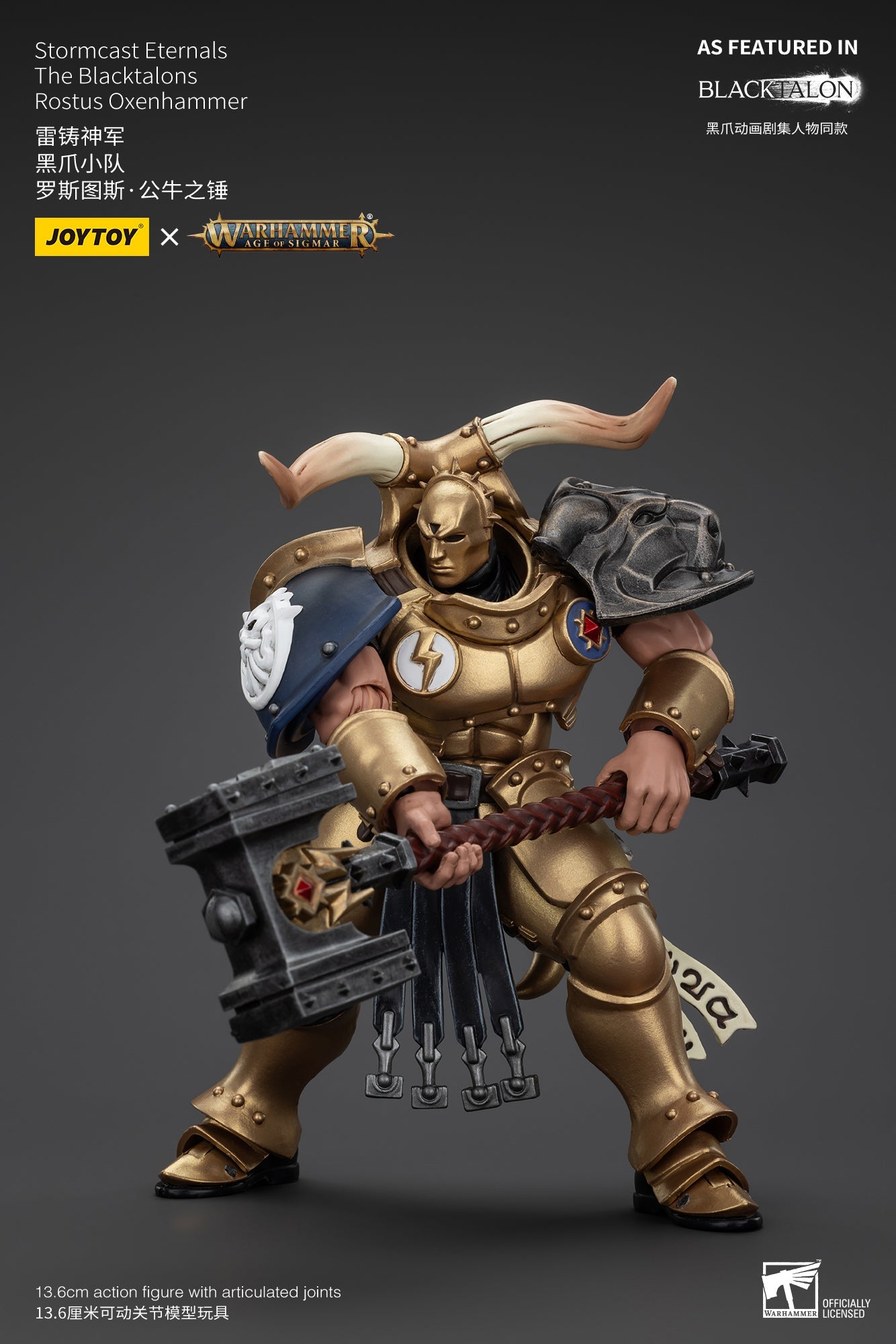 Stormcast Eternals The Blacktalons - Warhammer AGE OF SIGMAR - Mô hình hành động của JOYTOY