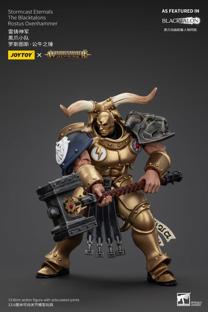 Stormcast Eternals The Blacktalons - Warhammer AGE OF SIGMAR - Mô hình hành động của JOYTOY